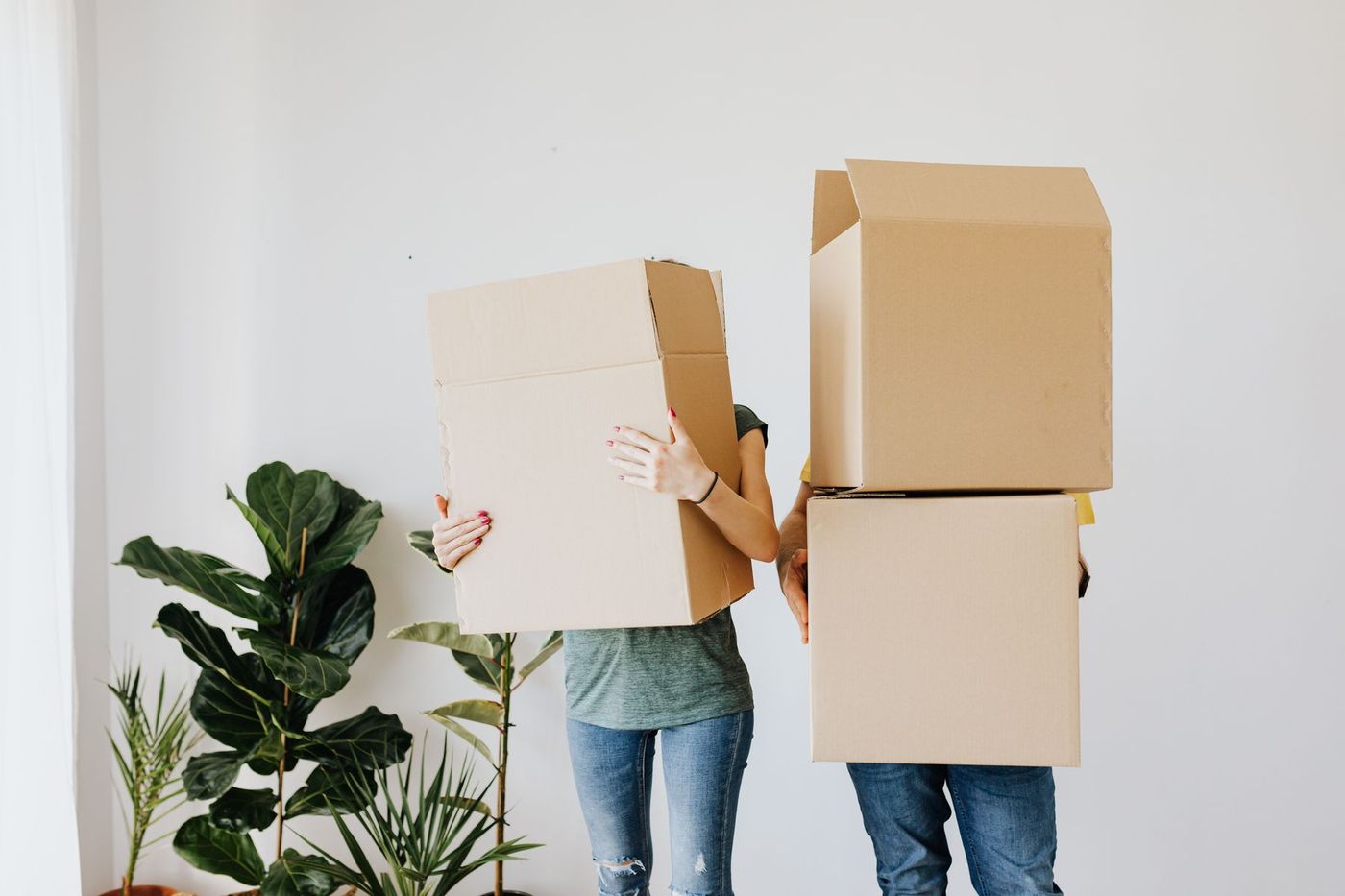 Two people in jeans carrying large cardboard boxes in front of their faces in a bright, empty room with potted plants